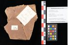 Foto (Objekt + Etikett) von Betula dryadum Brongniart (NHMW-GEO-2024-0188-0726)